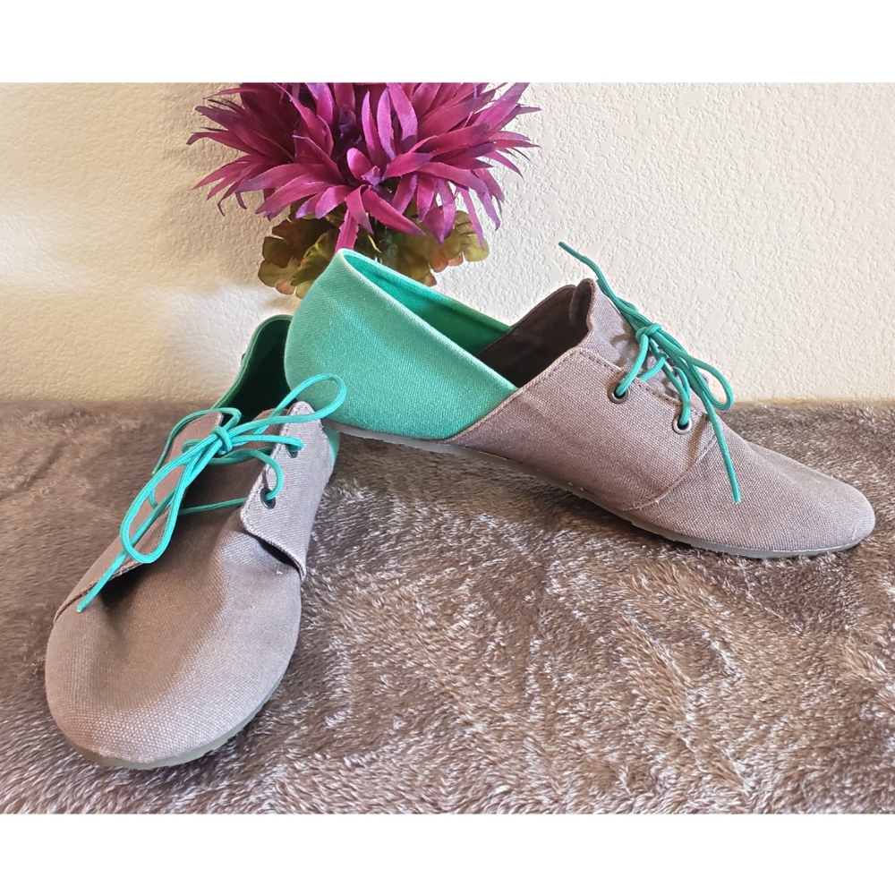Volcom Canvas Shoes